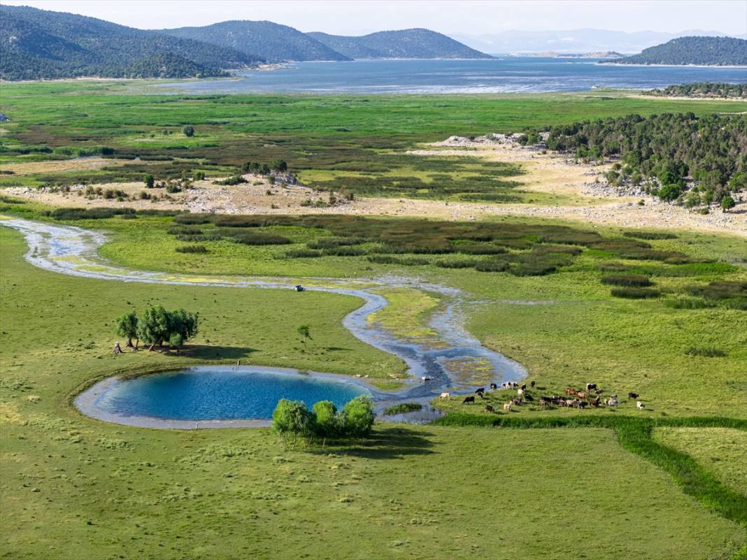 Konya’nın en büyük gölündeki büyüleyici kareler, felaketin işareti 1